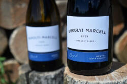 BUKOLYI CSALÁDI BIRTOK MENTHA Kékfrankos & Syrah 2022 (0, 75L 13, 5%)