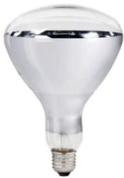 Z-tools Set 2 x Bec cu Infrarosu, Transparent, 250 W, E27 (LIZ-2xZLN-TLS-IR-E27)