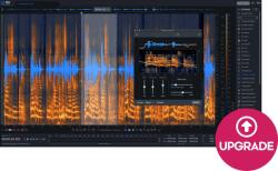 iZotope RX 11 Advanced: Upgrade from RX 11 Standard (Digitális termék)