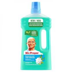 Mr. Proper Detergent pardoseli, 1 L, Morning Dew