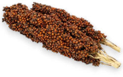 Trópus fürtös vörös cirok 130g (TP642016)