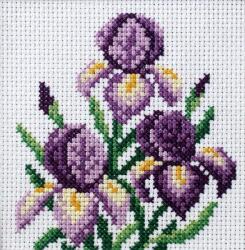 Orchidea Keresztszemes Hímző Készlet Íriszek