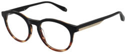 Hackett 1433-106 Newton John Rama ochelari