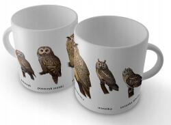  Bögre Baglyok Soliton (rg)