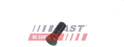 FAST surub roata FAST FT21531 (FT21531)
