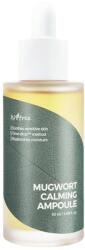 ISNTREE Ampoule calmantă pentru față cu pelin - 50 ml