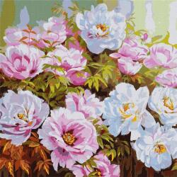 Ideyka Számozott festés Bazsarózsa sokfélesége 50x50 (KHO3193)