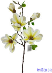 Magnolia ág 70cm - Krém