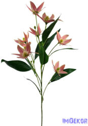  Virágos ág 79cm - Barack