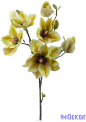Magnolia ág 90cm - Zöld