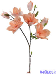 Magnolia ág 90cm - Barack