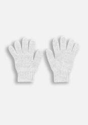 Coccodrillo Gyerek ötujjas kesztyű Ezüst XL Coccodrillo ZC4 (5904986428825)