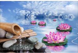 MÉDIA öntapadó és mosható fali fotótapéta, Rózsaszín tavirózsa a tavon, 270 x 200 cm (FOTOTAP570)