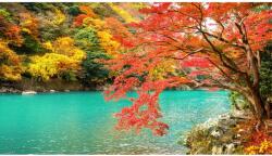 MÉDIA Öntapadós tapéta Natura151 Ősz a tavon, 250 x 200 cm (FOTOTAP14026)