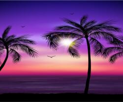 Blueback MAT Tapéta Pálmafák5, 300 x 250 cm (BBIMG910)