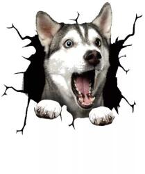 Original Deals Dekoratív matrica szibériai husky kutya, otthonra vagy autóra, prémium öntapadós, 30 x 30 cm, eredeti ajánlatok (22AGL1102)