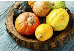 MÉDIA Öntapadó és lemosható fali tapéta Összetétel 27, 250 x 150 cm (FOTOTAP6868)