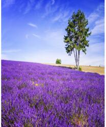 MÉDIA Öntapadó és mosható fali tapéta Lavender6, 150 x 205 cm (FOTOTAP5497)