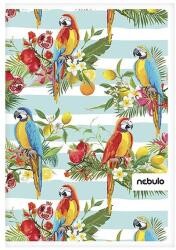 Nebulo Spirálfüzet vonalas NEBULO L-Design A/4 70 lapos (SP-VO-LD-A4)