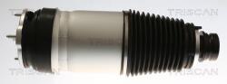 TRISCAN Vzduchová pružina, podvozok TRISCAN 8720 81101 (8720 81101)