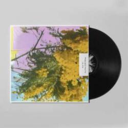 XL Recordings LP Four Tet: Into Dust (Still Falling)