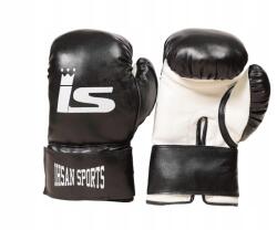 Evolution Boksz kesztyű Ihsan Sports 6 oz (21626)