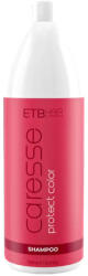 ETB Hair Caresse Protect Color Șampon pentru păr vopsit (EH04977)