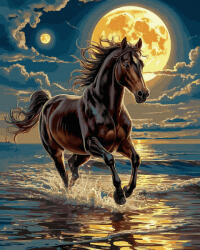 Oh Art! Set pictura pe numere, cu sasiu, Galop in noapte, 40x50 cm (JX1333)