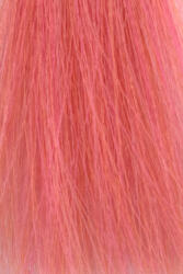 ETB Professional Vopsea De Păr Profesională Fără Amoniac Pentru Păr Decolorat ETB Hair Colorverse Pastel Toner 100ml (EH01162)