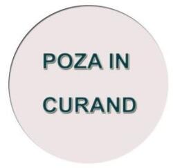 Hiko Perna XL, 42cm, Hiko Name litera Z din catifea albastra sau roz, cu vipusca (100006629)
