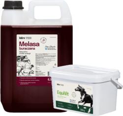 LAB-V EquiVit - hrană dietetică pentru cai, susține imunitatea și articulațiile 2 kg + melasă de sfeclă Lab-v 5 l