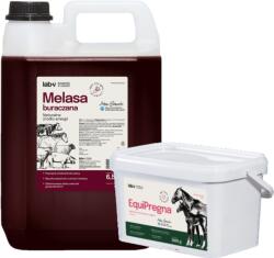 LAB-V EquiPregna - Amestec alimentar suplimentar pentru iepe gestante și care alăptează, care susține sarcina, dezvoltarea fătului și producția de lapte 2 kg + melasă de sfeclă Lab-v 5 L