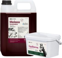 LAB-V EquiDerma - Amestec alimentar complementar pentru cai și ponei, pentru îngrijirea pielii, blănii și copitelor 2 kg + melasă de sfeclă Lab-v 5 l