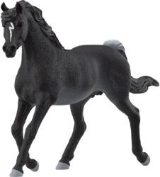 Schleich Horse Club arab mén játékfigura 13981 (13981)