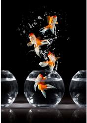 MÉDIA Öntapadó és mosható fali tapéta Összetétel 35, 150 x 205 cm (FOTOTAP5489)