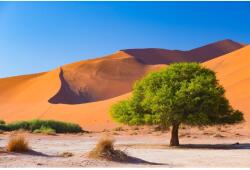 MÉDIA Natura93 öntapadós és mosható fali tapéta, 350 x 200 cm (FOTOTAP7430)