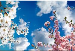 Blueback MAT Tavaszi fák tapéta, 350 x 200 cm (BBIMG3519)