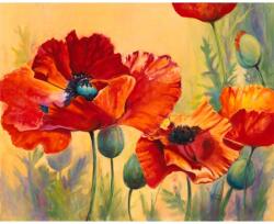 MÉDIA Maci öntapadó és mosható fali tapéta, 270 x 200 cm (FOTOTAP081)