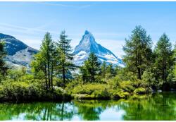 Blueback MAT Tapéta Natura146, 300 x 250 cm (BBIMG1591)