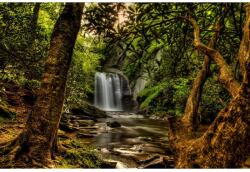 Blueback MAT Kis erdei vízesés tapéta, 300 x 250 cm (BBIMG3487)