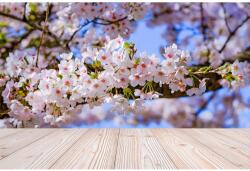 MÉDIA Öntapadó és mosható fali tapéta Flori100, 250 x 150 cm (FOTOTAP7700)