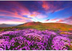 MÉDIA Öntapadó és mosható falfestmény Rhododendron virágok a naplementében, 250 x 150 cm (FOTOTAP8267)