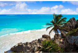 MÉDIA Öntapadó és mosható fali tapéta Palmieri38, 350 x 200 cm (FOTOTAP6487)