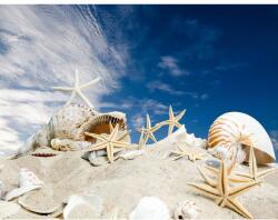 MÉDIA Öntapadó és mosható falfestmény Strand csillagokkal, 300 x 200 cm (FOTOTAP4724)