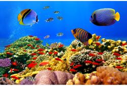 Blueback MAT Víz alatti világ tapéta 1, 300 x 250 cm (BBIMG3189)