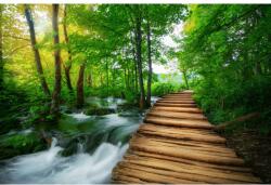 MÉDIA Öntapadó és mosható fotótapéta, 270 x 200 cm, Plitvice-híd, Horvátország (FOTOTAP3453)