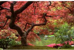 MÉDIA Öntapadó és mosható falfestmény Fa piros levelekkel, 250 x 150 cm (FOTOTAP5996)