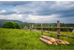 MÉDIA Öntapadó és mosható falfestmény Natura156 Rétek és erdők, 250 x 200 cm (FOTOTAP9360)