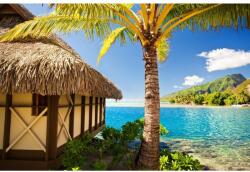 MÉDIA Öntapadó és mosható falfestmény Nyaraló, 300 x 250 cm (FOTOTAP4800)