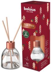 Bolsius Bețișoare aromate Bolsius - Winter Spice, 60 ml (TRU60-DIFT-99-TG)